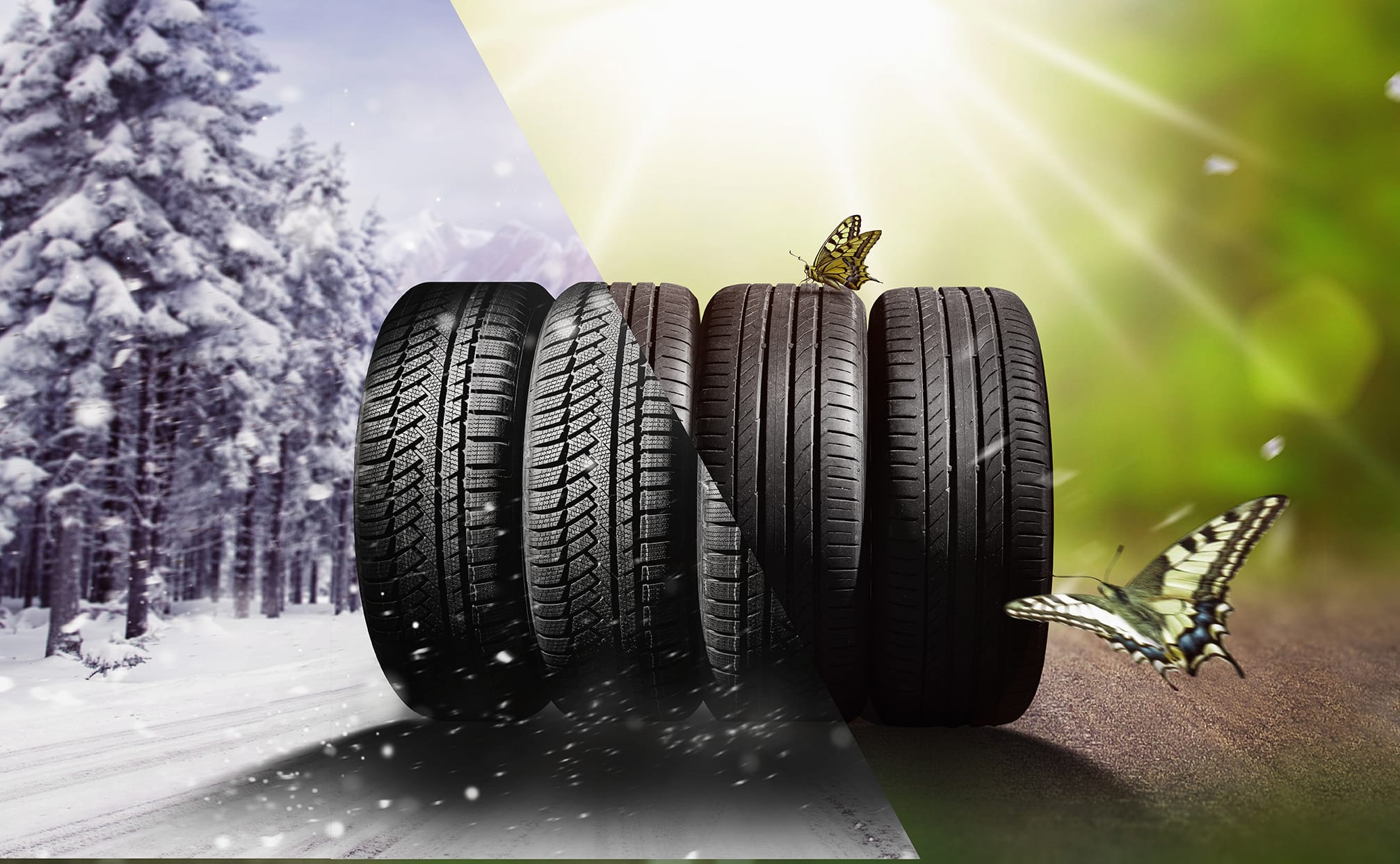Comparing snow tires and summer tires